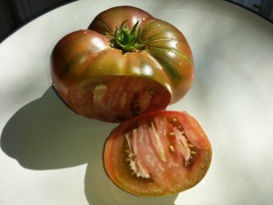 cherokee purple tomato for blog