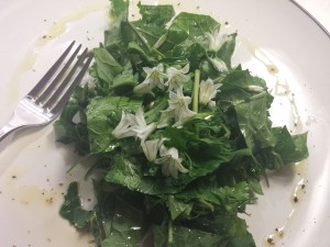 garden salad for blog